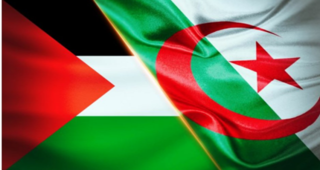 الجزائر تعلق كل منافسات كرة القدم تضامنا مع فلسطين