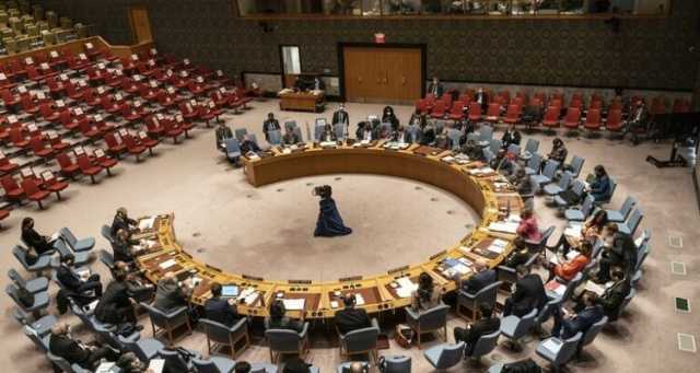 الإمارات تدعو مجددا إلى إصدار قرار حول غزة في مجلس الأمن