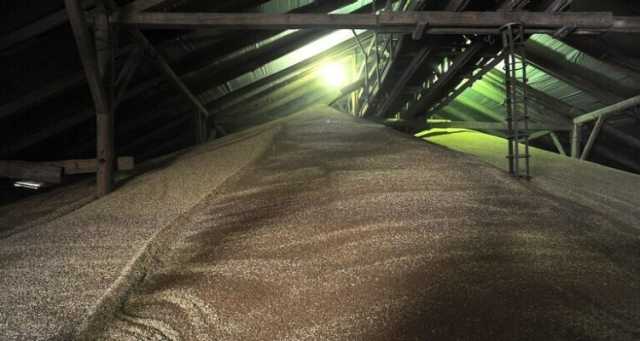 الاتحاد الأوروبي يزيد وارداته من القمح الروسي