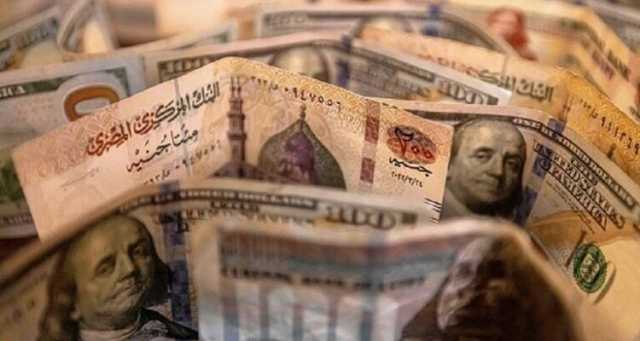 وسائل إعلام: مصر تتخذ قرارا عاجلا حول الدولار