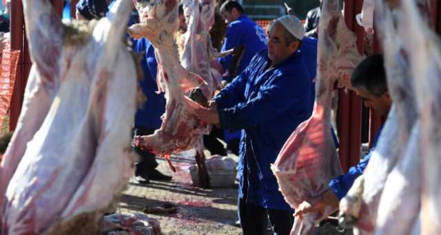 دولة عربية من كبار المستوردين.. روسيا تضاعف بنحو 10 مرات صادرات لحم الضأن في 2023