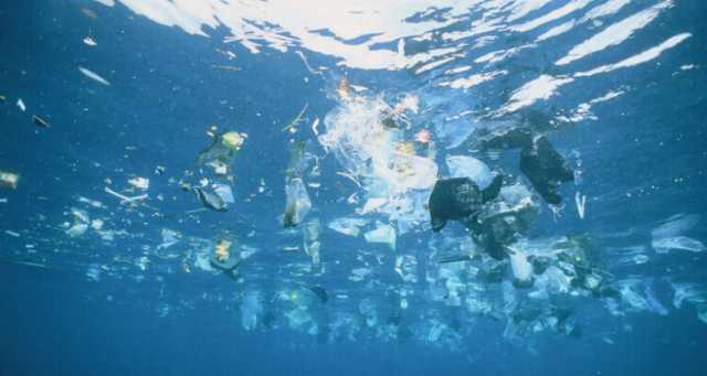 اكتشاف بكتيريا نادرة تأكل الملوثات البلاستيكية بشكل فعال