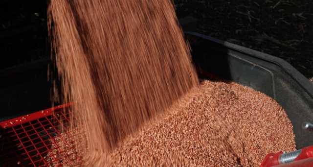 “فايننشال تايمز”: الاتحاد الأوروبي بصدد فرض رسوم على واردات الحبوب الروسية
