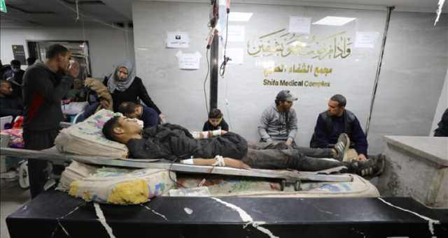 “العفو الدولية” تدعو لتحقيق عاجل حول “مجزرة الطحين” بغزة