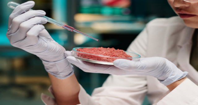ما الذي يجعل نكهة اللحوم المصنعة في المختبر أقرب إلى الحقيقية؟