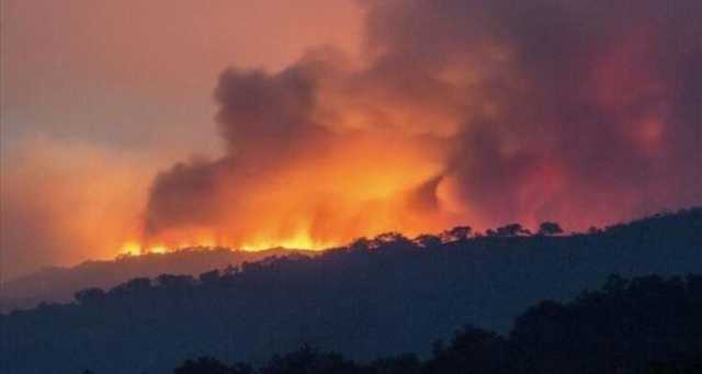 لليوم الثاني.. مواصلة إخماد حرائق بغابة شرق المغرب وإجلاء سكان الجوار