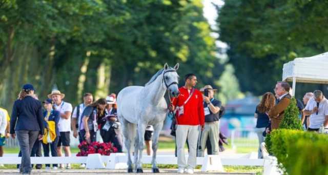 أولمبياد باريس 2024.. انسحاب فارس مصري لهذا السبب!