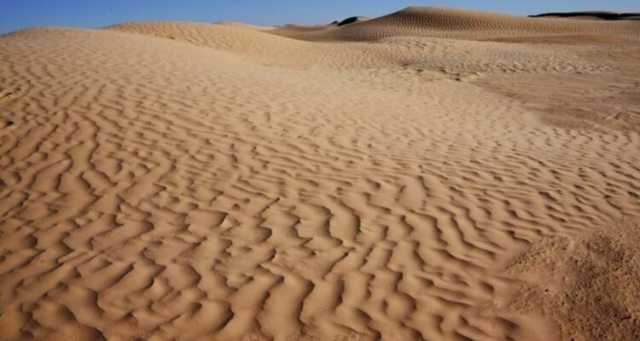 من صحراء المغرب إلى فيافي الجزائر.. إيطالي ينقذ نفسه بدماء الخفافيش!