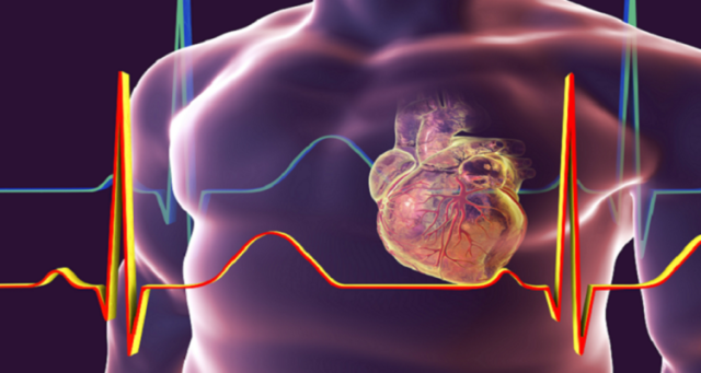 العلماء الروس يطورون جهازا للكشف المبكر عن أمراض القلب