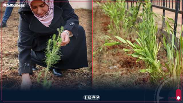 حملة التشجير في بنغازي: ضرورة التزام المعايير البيئية لتجنب الأضرار