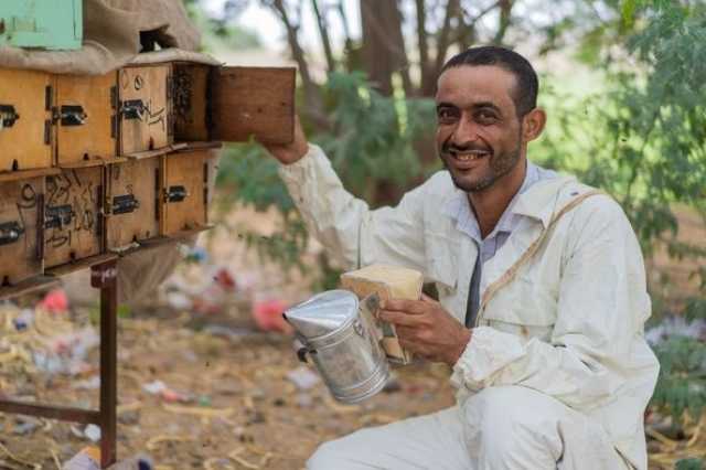 الاتحاد الأوروبي: العسل اليمني اكتسب شهرة مستحقة كأحد أفضل الأنواع في العالم