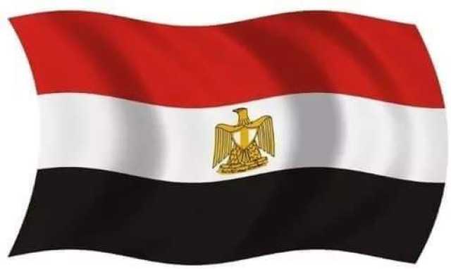 مصر تدين الهجوم الحوثي ضد القوات البحرينية جنوب السعودية