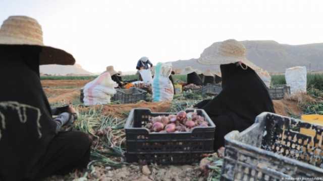 في اليمن 'الخضراء'.. تراجع الإنتاج الزراعي يفاقم أزمة الغذاء