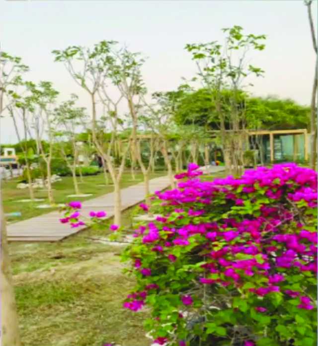جناح الحديقة القرآنية في «إكسبو» مزيج بيئي غني
