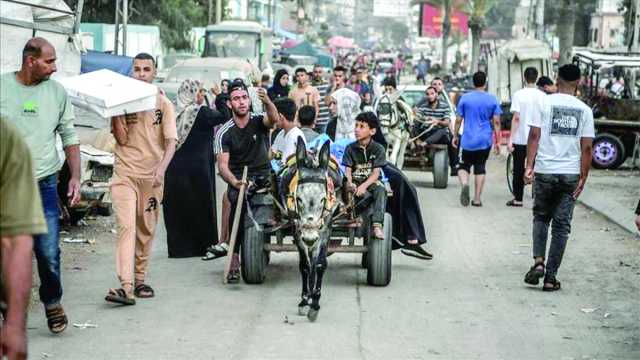 عربة «الكارو».. وسيلة نقل في زمن الحرب