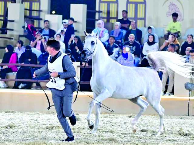 منافسات قوية في ثاني أيام بطولة سوق واقف للخيل