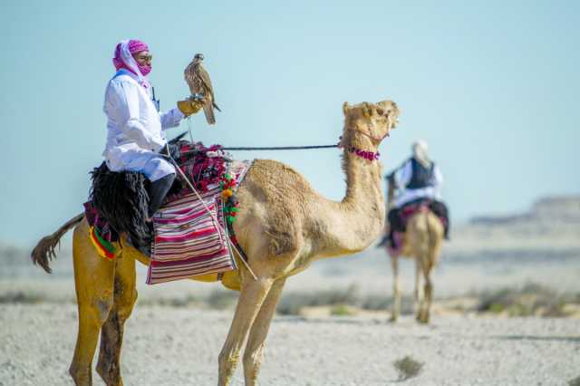 الحصين يبتعد بصدارة المجموعة الثالثة في «القلايل»