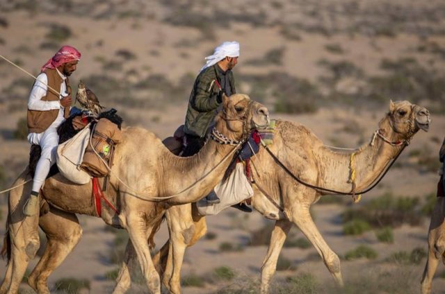 انطلاق منافسات المجموعة الثانية ببطولة القلايل للصيد التقليدي 2024