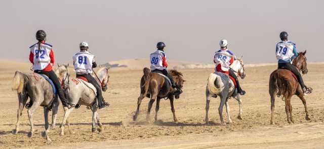  غدا.. انطلاق منافسات سباق سيف سمو الأمير المفدى لقوة التحمل