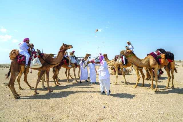 «الريان» يتصدر منافسات اليوم الأول في نهائي «القلايل»