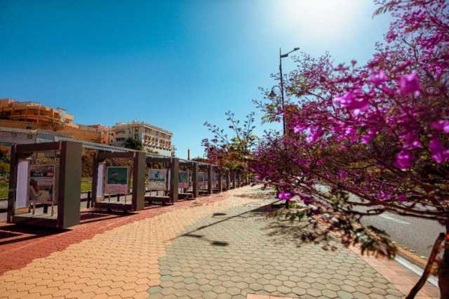 عسير: منطقة سياحية فريدة لعشاق الطبيعة والمغامرة والثقافة