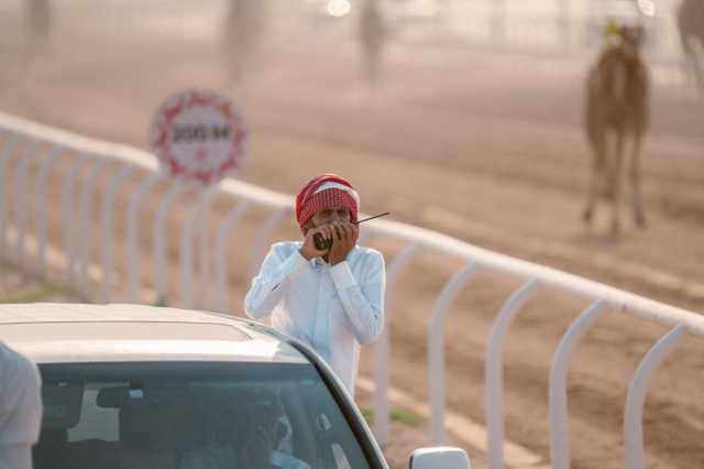 السعوديون يسيطرون على مراكز المرحلة التمهيدية بمهرجان ولي العهد للهجن