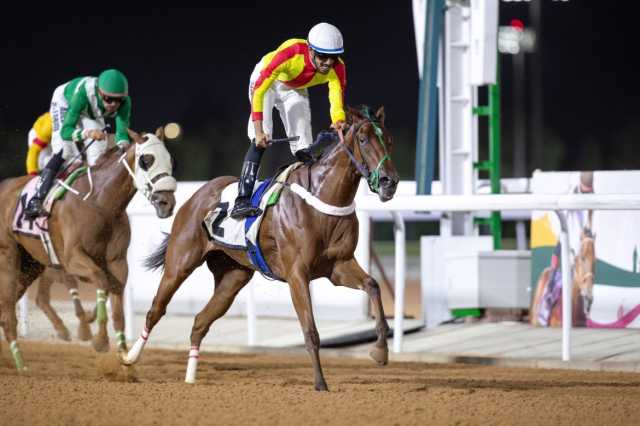 منافسات قوية لنخبة خيل الثلاث سنوات في سباقات نادي الخيل في الطائف