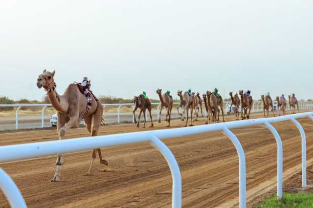 مهرجان ولي العهد بالطائف يختتم مرحلته التمهيدية