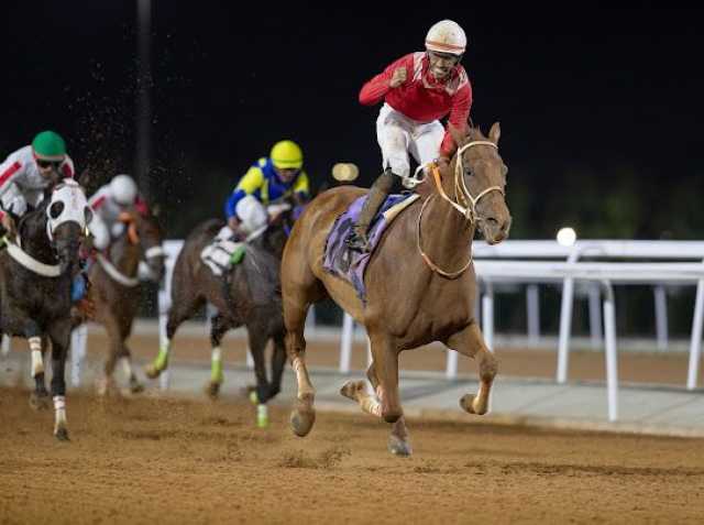 تنافس وطموح الخيل للفوز بكؤوس الأمير سعود بن سلمان بن عبدالعزيز