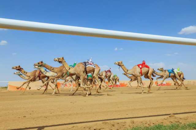 مدير عام تعليم الطائف: مهرجان ولي العهد دخل التاريخ من أوسع أبوابه