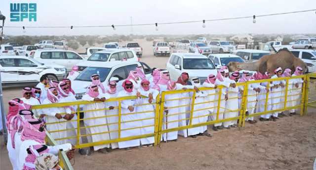 30 مليون ريال مبيعات مهرجان جادة الإبل