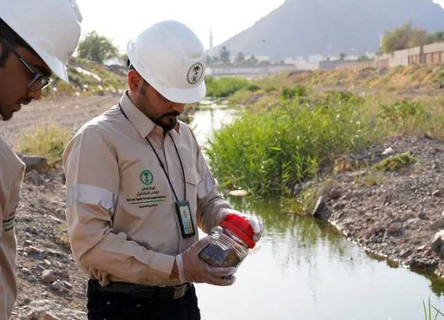 إعادة تأهيل أكثر من 1800 موقع متدهور بيئياً