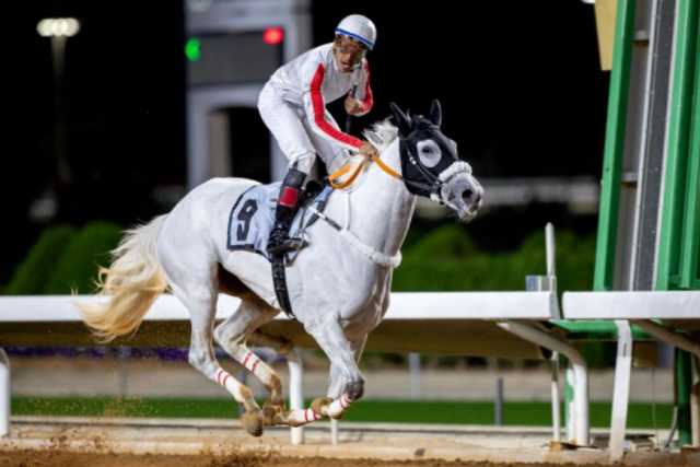 الخيل العربية الأصيلة تتنافس على كأسي الأمير سلطان بن عبدالعزيز للفئة الأولى وإسطبلات الخالدية للفئة الثانية