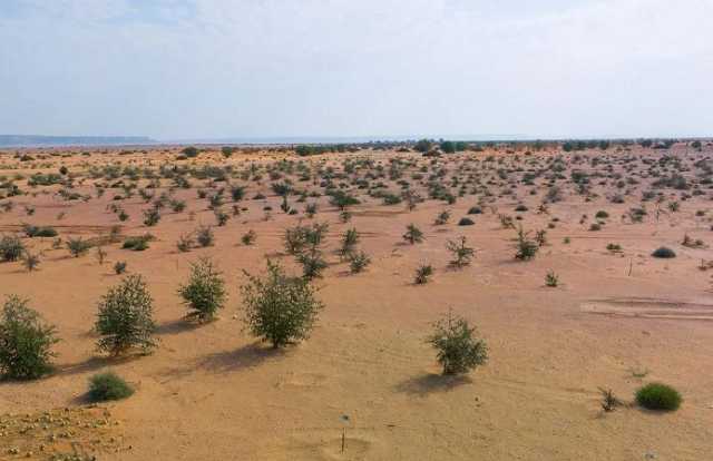 محمية الملك عبدالعزيز الملكية تُحقق إنجازات بيئية متنوعة