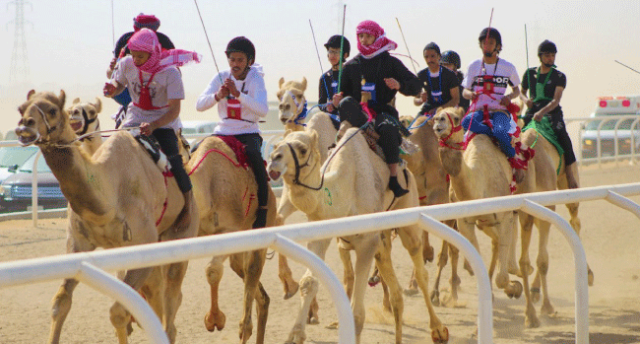 ميدان الجنادرية يحتضن نهائي دوري هجان