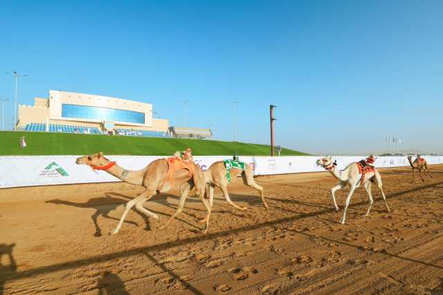 البلوي توج الفائزين على أرض ميدان نجران.. كؤوس الاتحاد السعودي للهجن الأولى سعودية