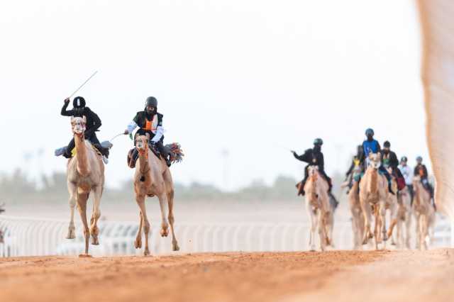 الألعاب السعودية| الأمير عبدالله بن فهد يسلّم الذهب لأبطال الهجن