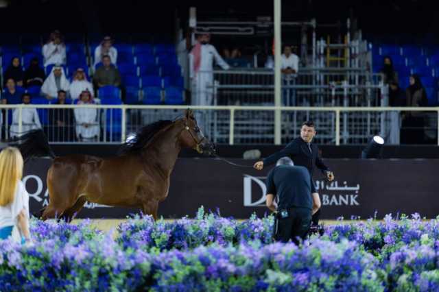 آل شريم: الرياض أهم محطات جولات الجياد العربية