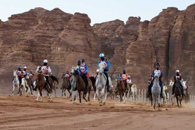 العلا تستضيف كأسي الأولمبية السعودية والشباب والناشئين للقدرة والتحمل