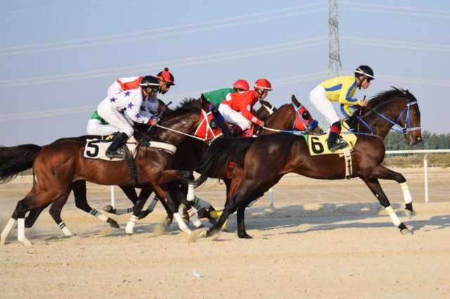 انطلاق منافسات سباقات الخيل في ميدان الفروسية بالدمام الجمعة المقبل