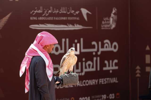 المحترفون المحليون يتنافسون في 6 أشواط في ثاني أيام مهرجان الملك عبدالعزيز للصقور