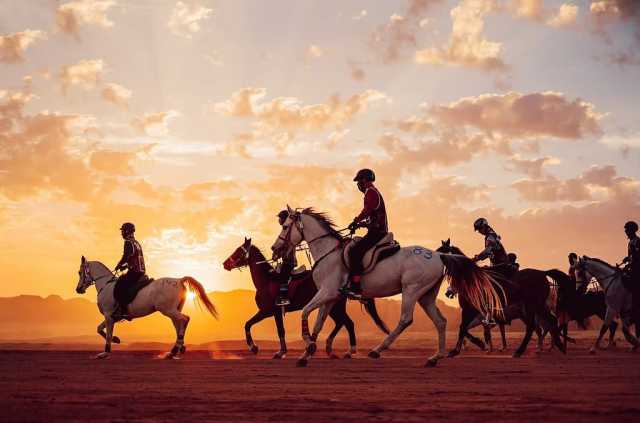 العلا تحتضن أضخم سباقات القدرة والتحمل عالميًا على كأس خادم الحرمين الشريفين