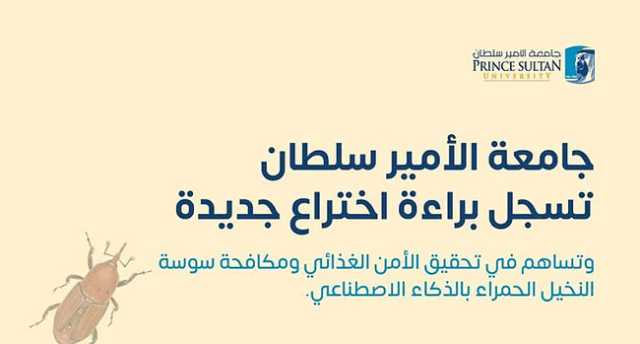 «براءة اختراع سعودية» للكشف عن السوسة الحمراء