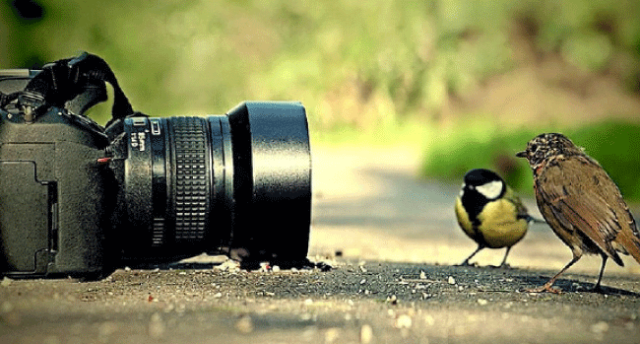 التصوير.. اقتناص لحظة شاردة من الزمن