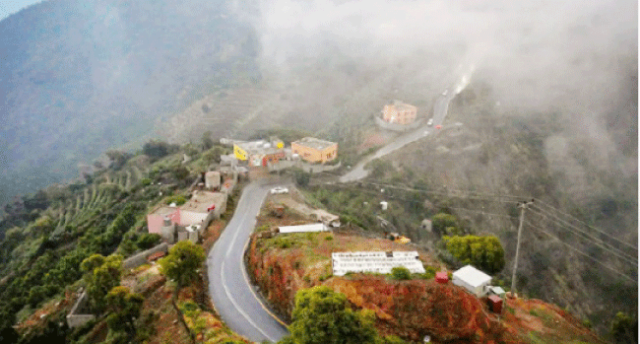 الجبل الأسود.. طبيعة يكسوها العرعر