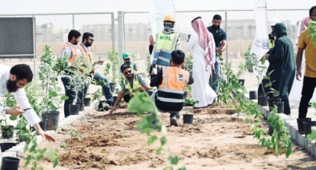 السعودية الخضراء .. تنمية الغطاء النباتي