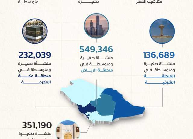 نمو عدد المنشآت الصغيرة والمتوسطة في المملكة