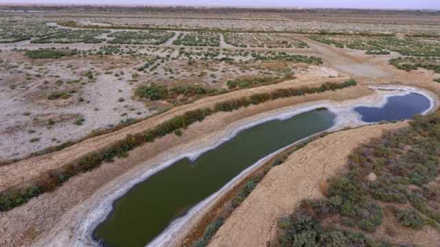 الجمعيات الفلاحية:تأجيل استثمار مليون دونم في ديالى جراء قطع إيران المياه عن العراق