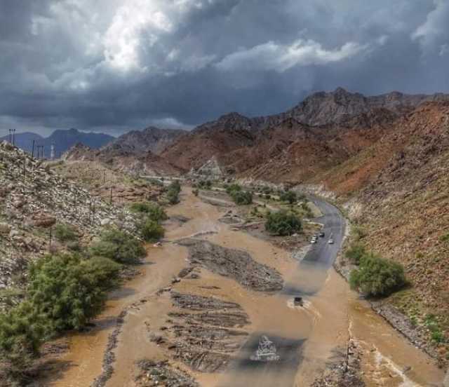 بالفيديو.. هطول أمطار متفاوتة الغزارة على عدد من الولايات