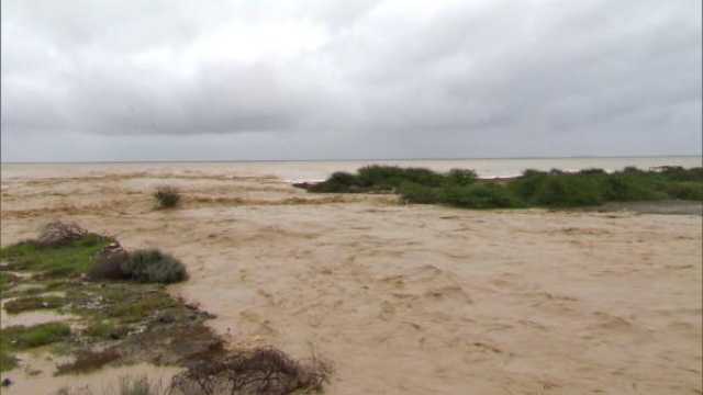 سحب ركامية وهطول أمطار بمحافظتي البريمي والظاهرة